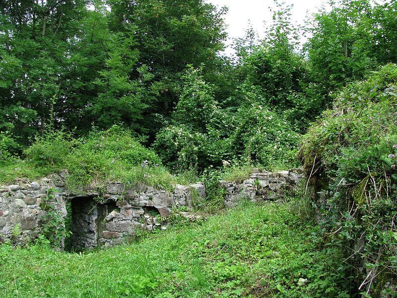 files/tl_filesOPO/Beitraege/Lindau Burgruine_Altlaubenberg.jpg